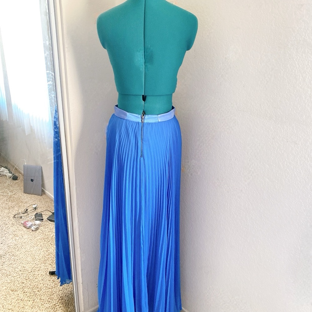 Blue Chiffon Pleated Alice + Olivia Maxi Skirt Size 4 - Picture 3 of 7